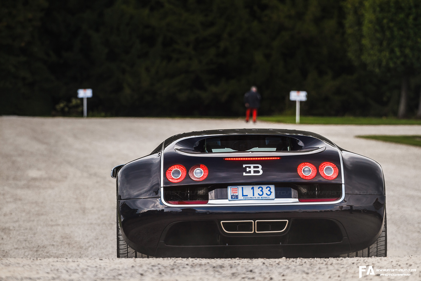 4-bugatti-veyron-photo-chantilly-arts-et-elegance.jpg
