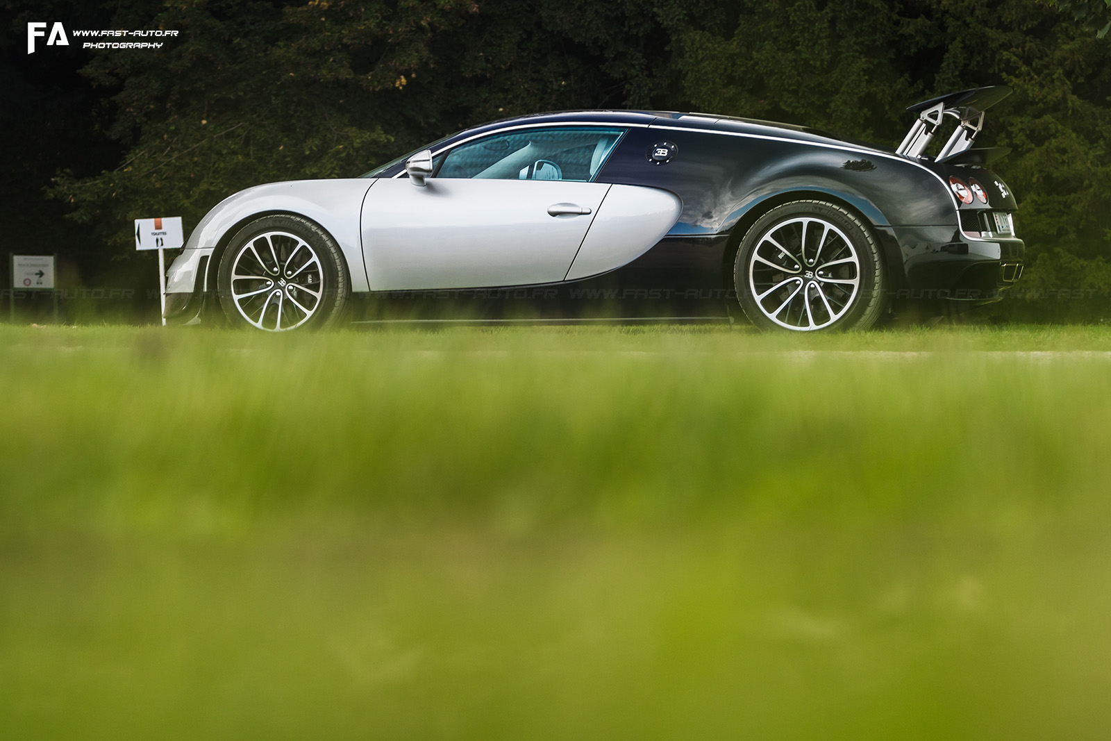4-veyron-bugatti-2015-chantilly-arts-et-elegance.jpg