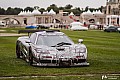 11-photo-concours-chantilly-3.jpg