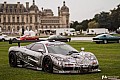 11-photo-concours-chantilly-6.jpg