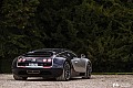 12-shooting-photo-chantilly-concours-bugatti-veyron.jpg